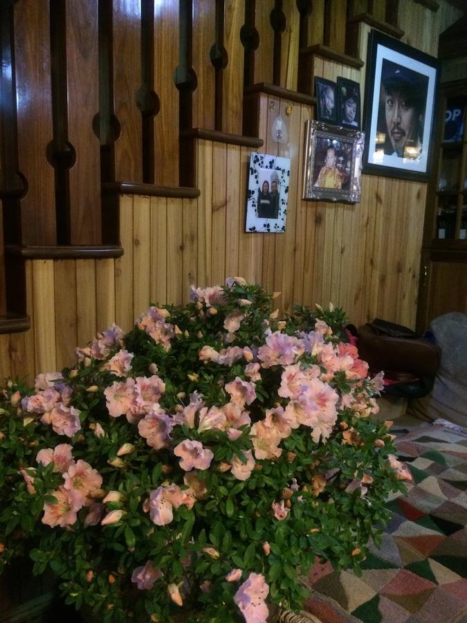 Ngawang Homestay Darjeeling  Extérieur photo